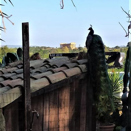 أغريجنتو B&B Villa San Marco المظهر الخارجي الصورة