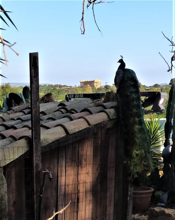 أغريجنتو B&B Villa San Marco المظهر الخارجي الصورة