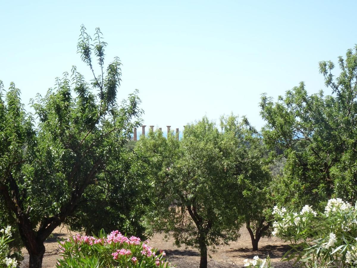 أغريجنتو B&B Villa San Marco المظهر الخارجي الصورة